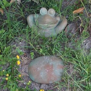 Meet your Posher, Janice